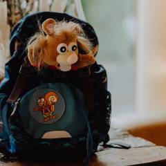 Alpini-Kuscheltier schaut aus einem Rucksack heraus