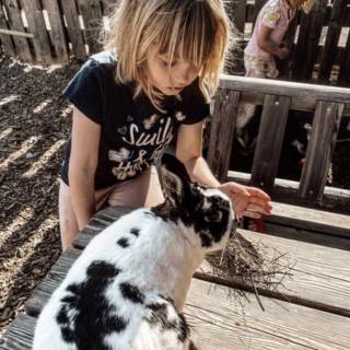 Mädchen füttert Hase