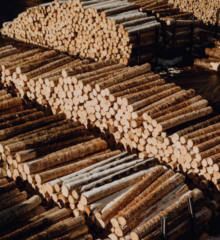 Viele Holzstämme aufeinandergelagert