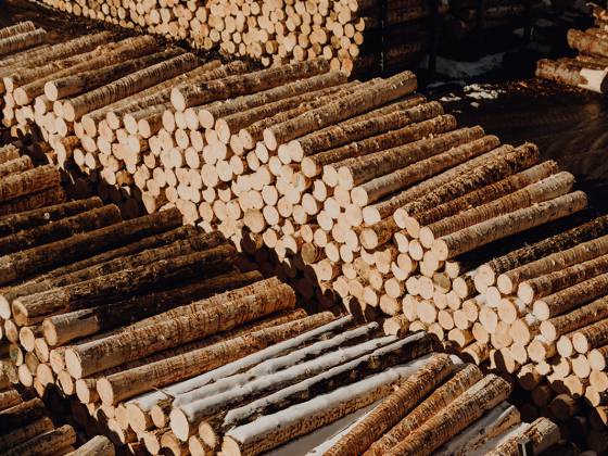 Viele Holzstämme aufeinandergelagert