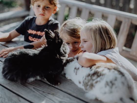 Kinder spielen mit Hasen