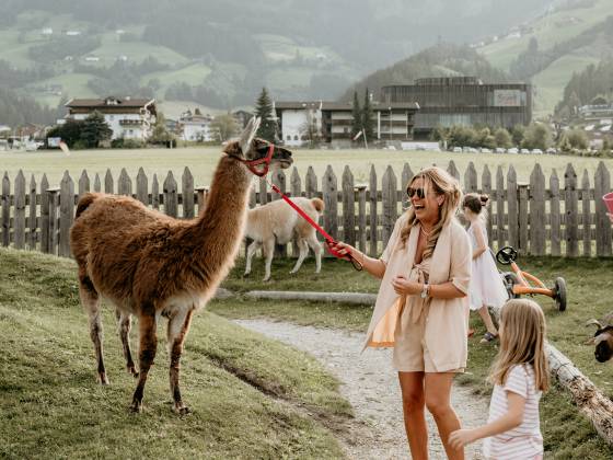 Familie bei den Alpakas